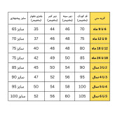 ست تیشرت و شلوارک راحتی پسرانه